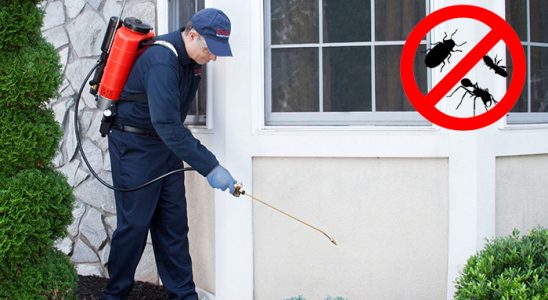 Demirköy Gümüşkurt İlaçlama böcek ilaçlama ve haşere kontrolü — ilaclama-tr.com